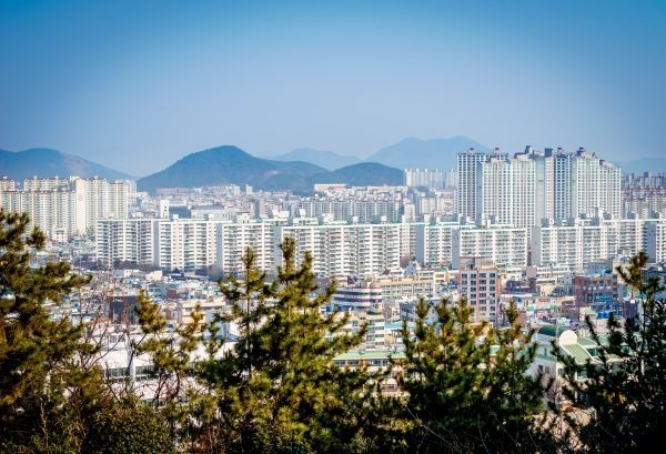 «Мир квартир»: Сильнее всего арендные ставки выросли в Чите – на 13%