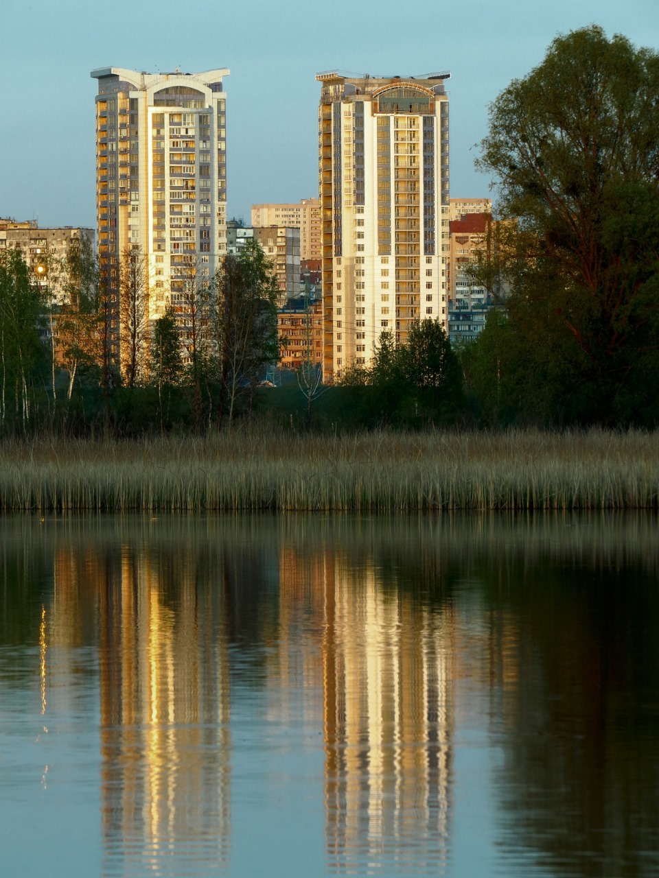 Жители Парголова под Петербургом два года живут без воды